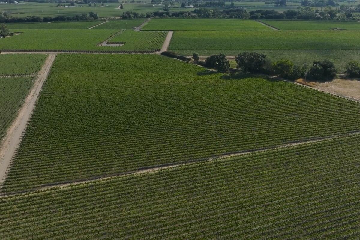 Delta Air Lines Updates Delta One Wine Program for 2026