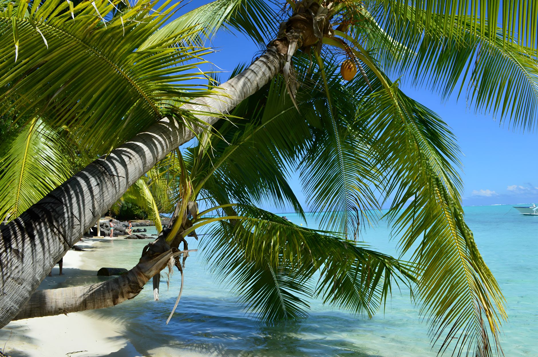 Regent Bora Bora opening replaces InterContinental